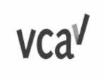 VCA Certificaat Unique Paint